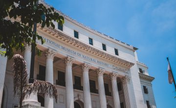All you need to know about the National Museum of Natural History
