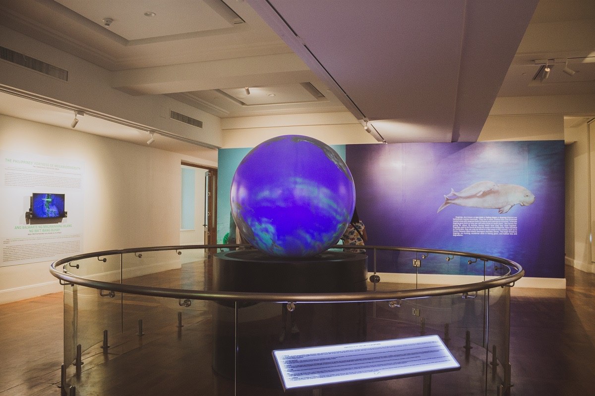 A digital Earth?
