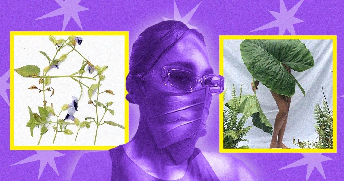 PH flora takes the lead in this visual artist’s works