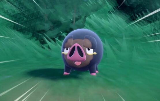 4 things to know about Lechonk, Pokémon’s newest chonky pig